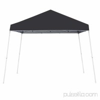 Z-Shade 10' x 10' Angled Leg Instant Shade Canopy Tent Portable Shelter, Black   